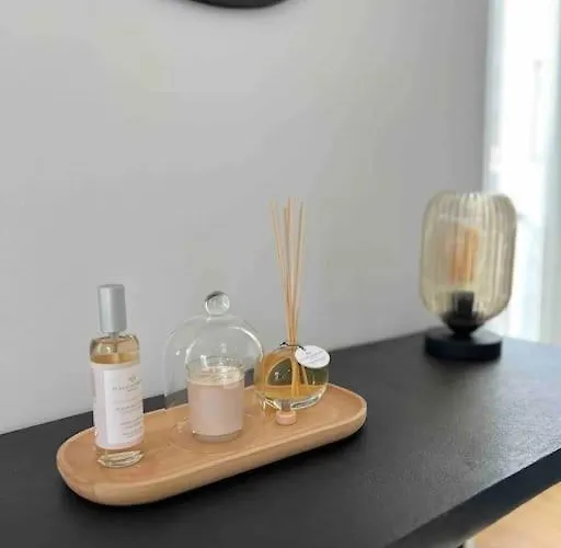 Magnifique T2 Lumineux 3 Etoiles - Centre Aix Les Bains Daire