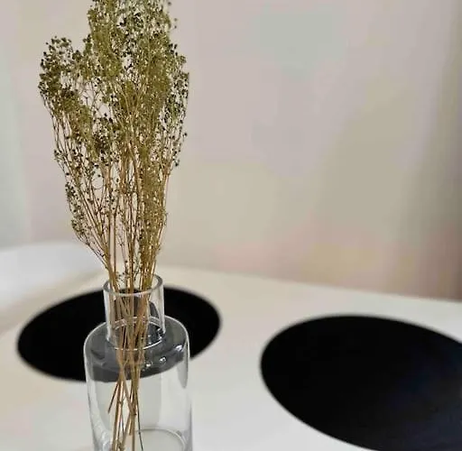 Magnifique T2 Lumineux 3 Etoiles - Centre Aix Les Bains 아파트 *