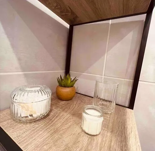 아파트 Magnifique T2 Lumineux 3 Etoiles - Centre Aix Les Bains *